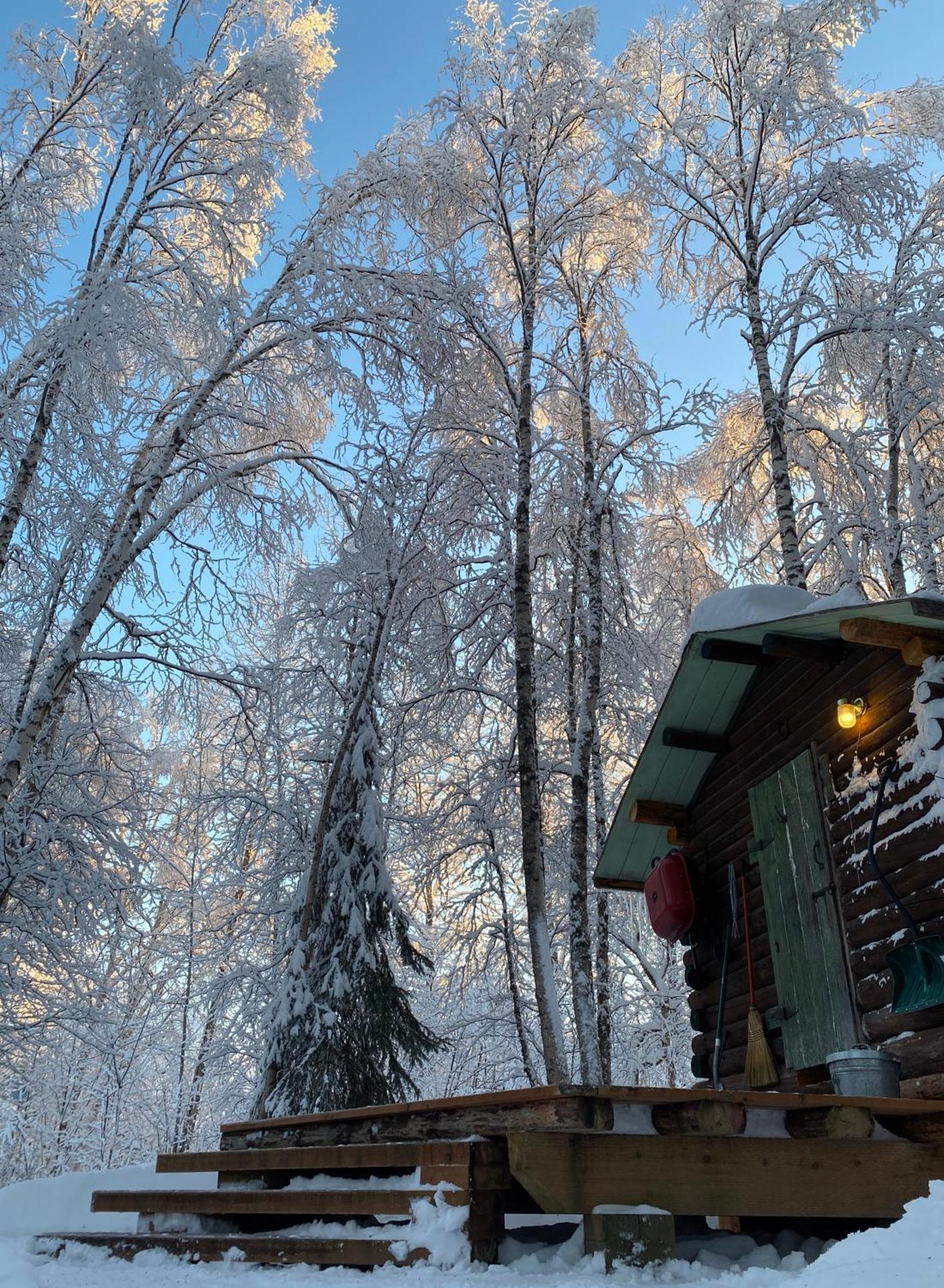 Trapper John'S Cabin & Cottages 탈키트나 외부 사진