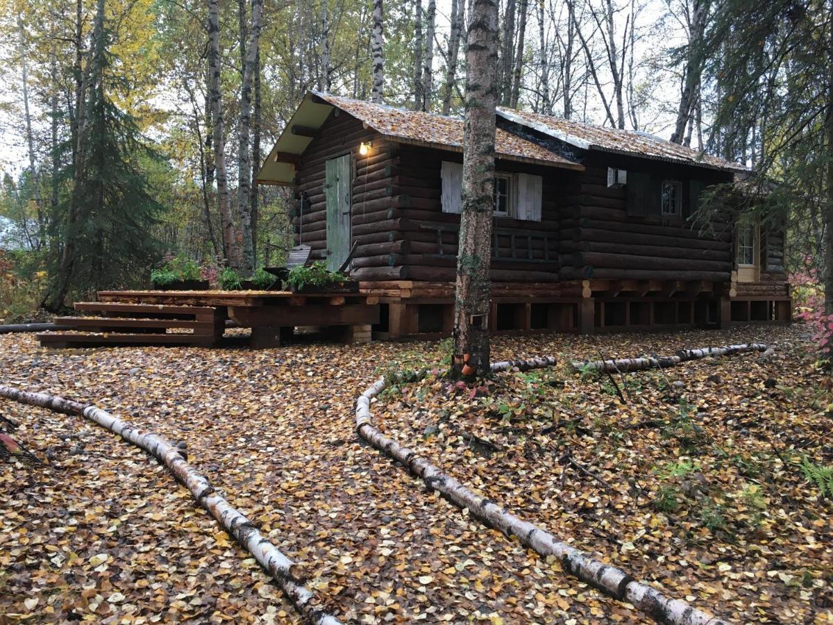 Trapper John'S Cabin & Cottages 탈키트나 외부 사진